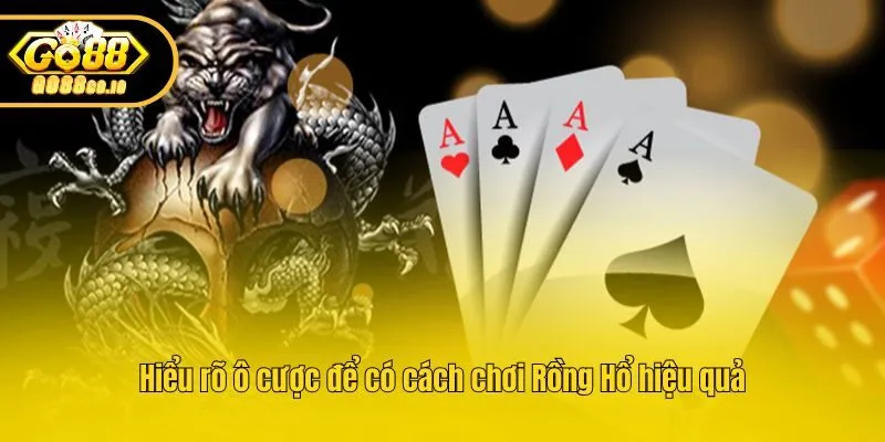 Hiểu rõ ô cược để có cách chơi Rồng Hổ hiệu quả